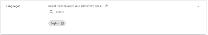 Google Ads Dashboard Languages Screenshot