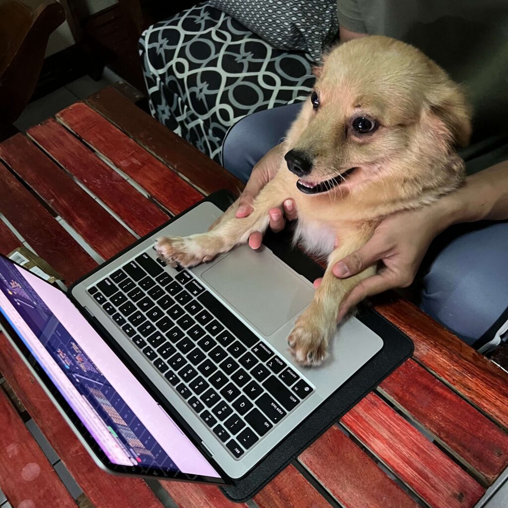 Lala working at the computer