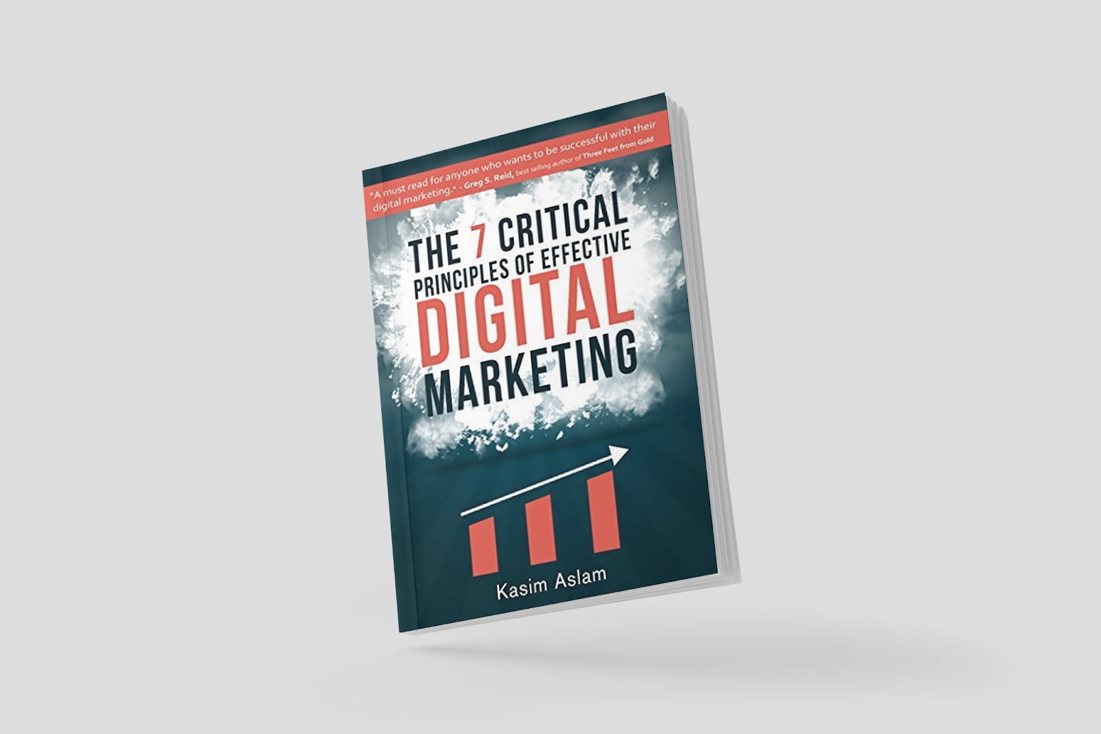 Image Of Book The 7 Critical Principles Of Effective Digital Marketing